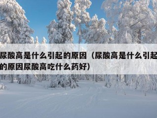 尿酸高是什么引起的原因（尿酸高是什么引起的原因尿酸高吃什么药好）