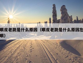 眼皮老跳是什么原因（眼皮老跳是什么原因左眼）