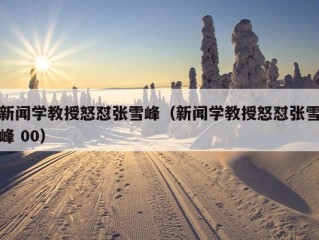 新闻学教授怒怼张雪峰（新闻学教授怒怼张雪峰 00）