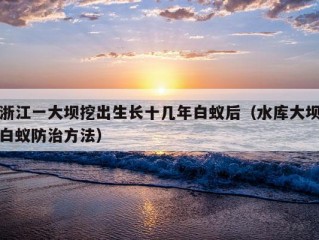 浙江一大坝挖出生长十几年白蚁后（水库大坝白蚁防治方法）