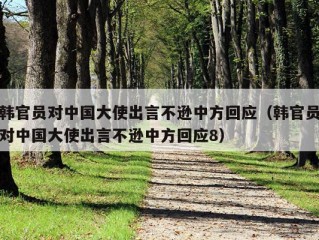 韩官员对中国大使出言不逊中方回应（韩官员对中国大使出言不逊中方回应8）