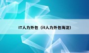 IT人力外包（it人力外包海淀）