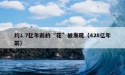 约1.7亿年前的“花”被发现（428亿年前）