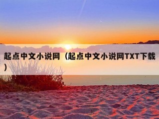 起点中文小说网（起点中文小说网TXT下载）