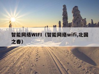 智能网络WIFI（智能网络wifi,北国之春）