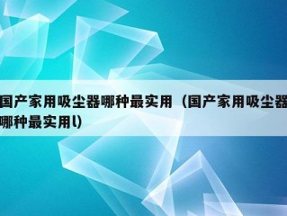 国产家用吸尘器哪种最实用（国产家用吸尘器哪种最实用l）