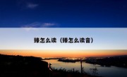 臻怎么读（臻怎么读音）