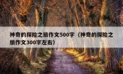 神奇的探险之旅作文500字（神奇的探险之旅作文300字左右）