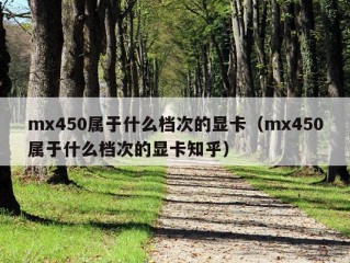 mx450属于什么档次的显卡（mx450属于什么档次的显卡知乎）