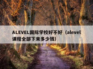 ALEVEL国际学校好不好（alevel课程全部下来多少钱）