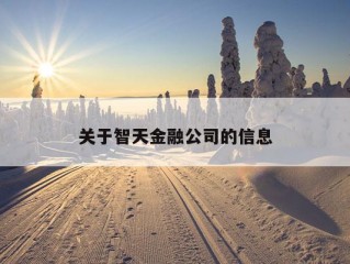 关于智天金融公司的信息