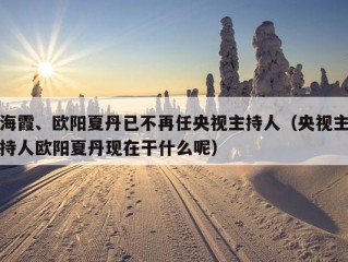 海霞、欧阳夏丹已不再任央视主持人（央视主持人欧阳夏丹现在干什么呢）