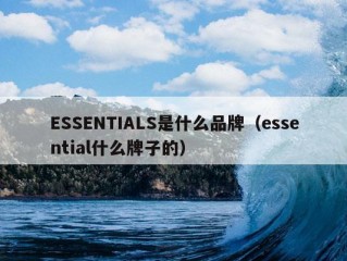 ESSENTIALS是什么品牌（essential什么牌子的）