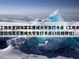 工地食堂因饭菜实惠成大学生打卡点（工地食堂因饭菜实惠成大学生打卡点13元随便吃）