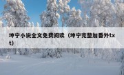 坤宁小说全文免费阅读（坤宁完整加番外txt）