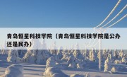 青岛恒星科技学院（青岛恒星科技学院是公办还是民办）