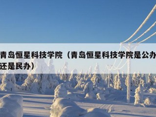 青岛恒星科技学院（青岛恒星科技学院是公办还是民办）