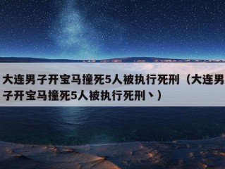 大连男子开宝马撞死5人被执行死刑（大连男子开宝马撞死5人被执行死刑丶）