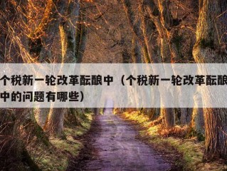 个税新一轮改革酝酿中（个税新一轮改革酝酿中的问题有哪些）