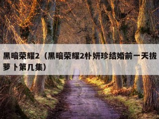 黑暗荣耀2（黑暗荣耀2朴妍珍结婚前一天拔萝卜第几集）