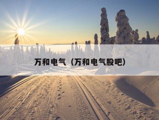 万和电气（万和电气股吧）