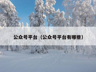 公众号平台（公众号平台有哪些）