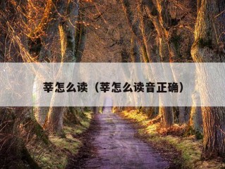 莘怎么读（莘怎么读音正确）