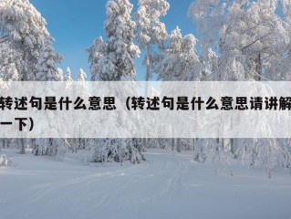 转述句是什么意思（转述句是什么意思请讲解一下）