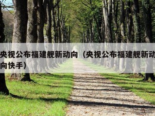 央视公布福建舰新动向（央视公布福建舰新动向快手）