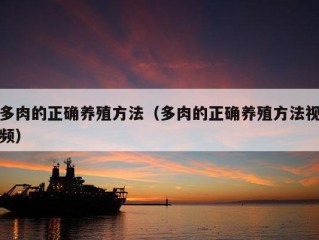 多肉的正确养殖方法（多肉的正确养殖方法视频）