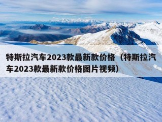 特斯拉汽车2023款最新款价格（特斯拉汽车2023款最新款价格图片视频）