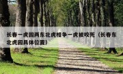 长春一虎园两东北虎相争一虎被咬死（长春东北虎园具体位置）