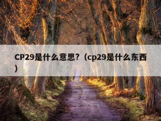 CP29是什么意思?（cp29是什么东西）