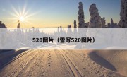 520图片（雪写520图片）