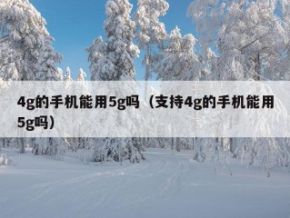 4g的手机能用5g吗（支持4g的手机能用5g吗）