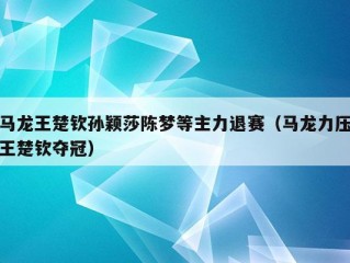 马龙王楚钦孙颖莎陈梦等主力退赛（马龙力压王楚钦夺冠）