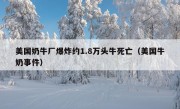 美国奶牛厂爆炸约1.8万头牛死亡（美国牛奶事件）