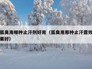 狐臭用哪种止汗剂好用（狐臭用那种止汗露效果好）