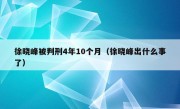 徐晓峰被判刑4年10个月（徐晓峰出什么事了）