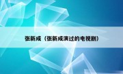 张新成（张新成演过的电视剧）