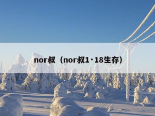 nor叔（nor叔1·18生存）