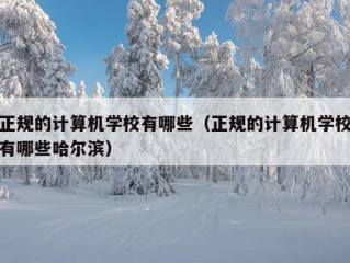 正规的计算机学校有哪些（正规的计算机学校有哪些哈尔滨）