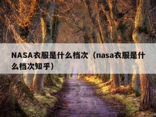 NASA衣服是什么档次（nasa衣服是什么档次知乎）