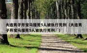 大连男子开宝马撞死5人被执行死刑（大连男子开宝马撞死5人被执行死刑√）