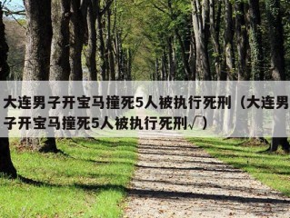 大连男子开宝马撞死5人被执行死刑（大连男子开宝马撞死5人被执行死刑√）