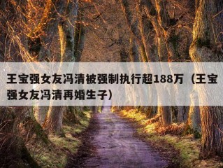 王宝强女友冯清被强制执行超188万（王宝强女友冯清再婚生子）