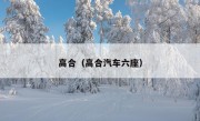 高合（高合汽车六座）