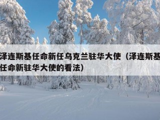 泽连斯基任命新任乌克兰驻华大使（泽连斯基任命新驻华大使的看法）