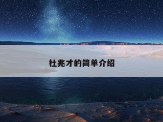 杜兆才的简单介绍