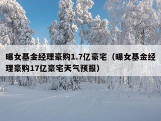 曝女基金经理豪购1.7亿豪宅（曝女基金经理豪购17亿豪宅天气预报）